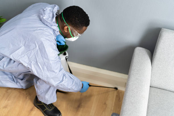 Pest Control for Hotels in San Bernardino, CA